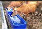 Viehbestand-Wasser-Behälter des Frost-Beweis-Plastik-L13ft 260L