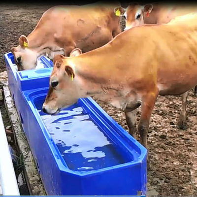 Blaue der Farbelldpe Tier-Wasser-Abflussrinne Viehbestand-Wasser-Behälter-Längen-4m
