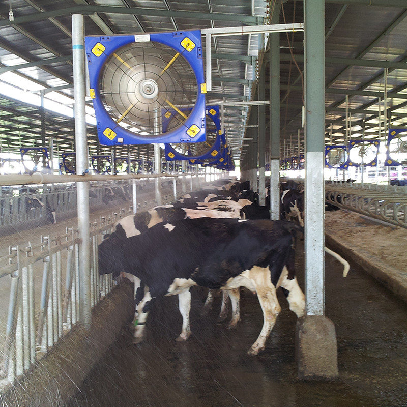 Doppelschicht-PE-Ventilationsventilatoren für Nutztiere mit PMSM-Motor-verzinktem Stahlrahmen - 28273m3/h Luftvolumen