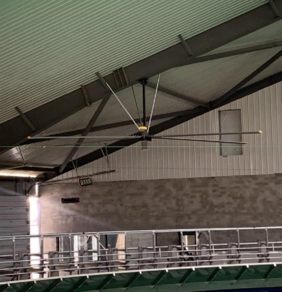 Energieeinsparende industrielle Deckenventilator mit IP55 Schutz Außenrotormotor und 9,53m3/min Luftvolumen