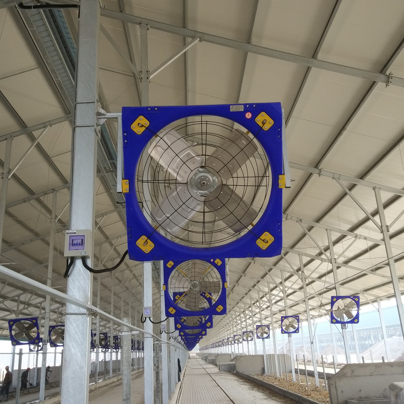 Industrieenergiesparender Viehventilationsventilator mit 410W Eingangsleistung und 1,1A Strom