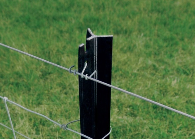 Schwerlast Y-Post für Ranch mit anpassbarer Farbe Schwarze verzinkte Oberfläche und Y-Form ohne Zähne