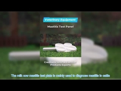 PET Plastikprüfungspaddel