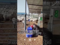 Wärmespeicherung Viehwasserbehälter für eine zuverlässige Wasserversorgung 200 kg Kapazität