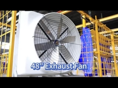 Verbesserung der Luftzirkulation mit 121139 m3/h Geflügelventilator und PMSM-Motor