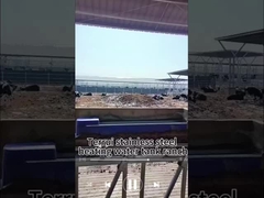 15-40C Temperaturkontrolle Modus Kuh Trinkbecher mit 3 Sätzen von 220V300W Heizscheiben