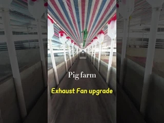 Volumen Industrieauspuffventilator 72 Zoll Durchmesser der Klinge Schutzgrad IP55