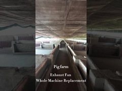 1830 mm Durchmesser der Klinge Industrieventilator mit Festigkeit Doppelschicht PE-Rahmenmaterial