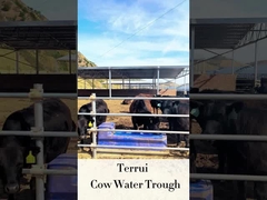 Viehbestand Selbst-Waterer