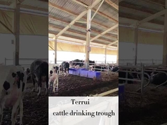 LLDPE Viehzucht Automatischer Trinkwasserbereiter mit 3 Sätzen von 220V300W Heizscheiben für Rinder