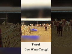 Automatischer Bewässerer für Viehzucht mit 250 mm Trinkhöhe und LLDPE-Durchfluss