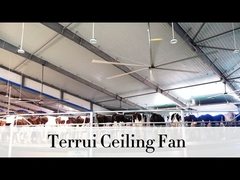 9.53 m3/min Luftstrom Industriedeckenventilator 14300 m3/min Maximalleistung