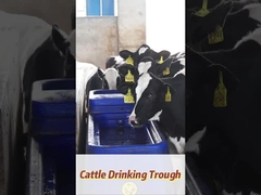 120 L/min Durchfluss Widerstandsfähiger Polyethylen Kuhtrinkwassertrank