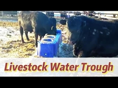 Flussgeschwindigkeit 40 L/min Trinkbecken für blaue Kühe für maximale Wasserwirksamkeit