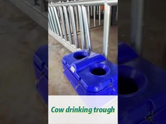 Hochdurchfluss-Kuhwassergerät für einfaches Gießen in 450 mm Trinkhöhe