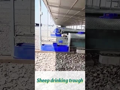 60L Trinkbehälter für Kühe 170*48*46cm Ideal für große Herden