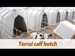 Ein gelüftetes Kälberhaus für Kalber