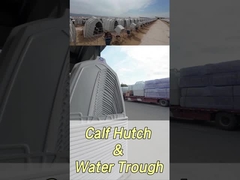 220*145*145cm Rechteck Milchkalbschachteln für bessere Gesundheit und Wohlbefinden