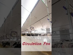 Energieeinsparende und industrielle Lüfter mit 2000w/2,7 PS