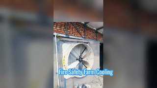 Hochgeschwindigkeitslüftung: Industrielle Abluftventilatoren von Terrui in Aktion