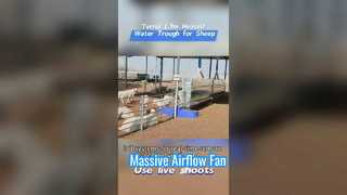 1,7 m langer beheizter Viehtränke aus robustem Kunststoffgehäuse, um extremen Kältebedingungen standzuhalten